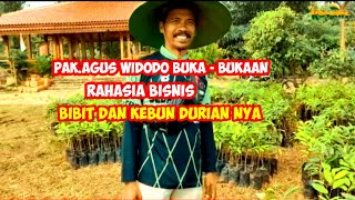 PAK AGUS WIDODO BUKA - BUKAAN BISNIS BIBIT DAN KEBUN DURIANNYA
