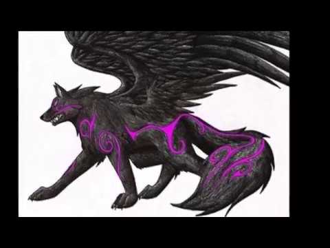 Anime wolf with wings HD wallpapers  Pxfuel