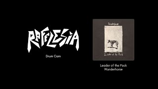 Download Lagu Rafflesia - Leader of the Pack (Wunderhorse cover) MP3