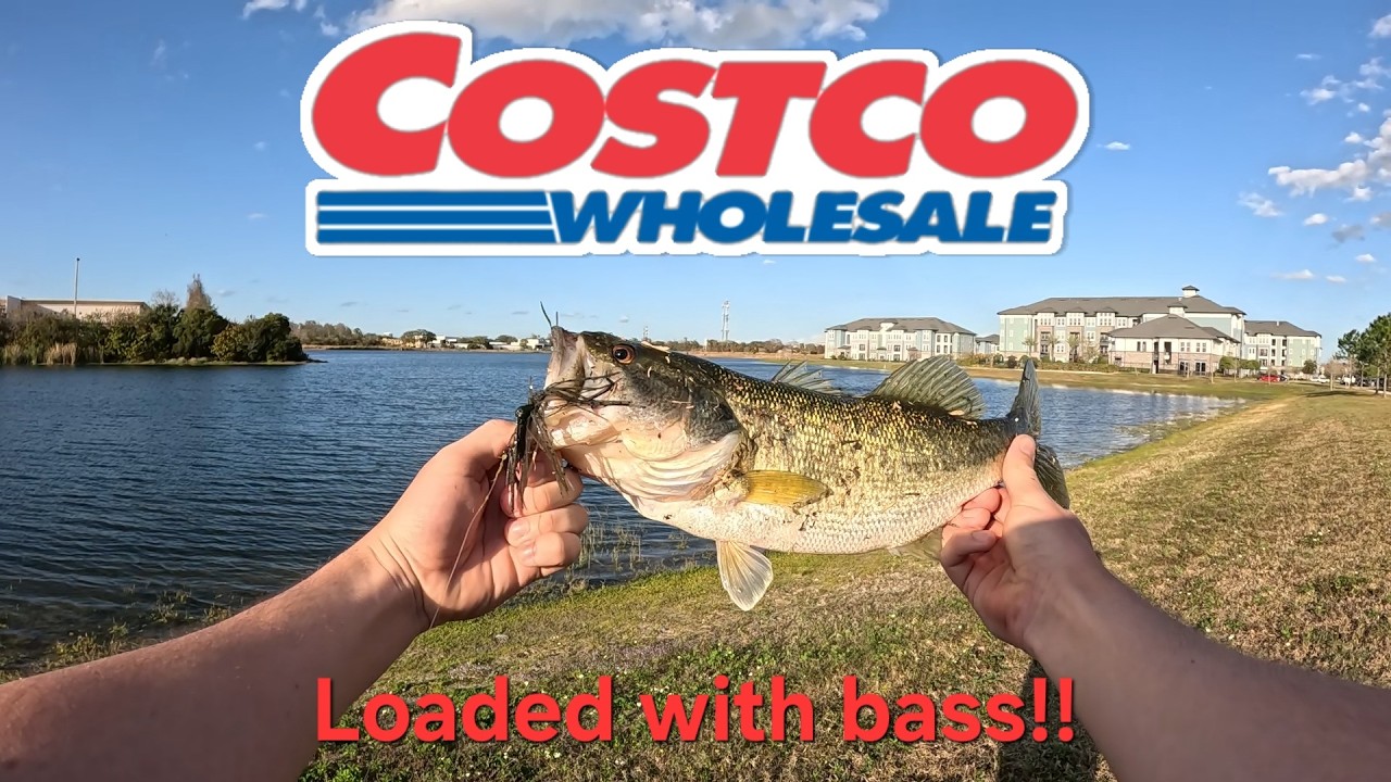 Urban Bass Fishing Behind Costco (Chatterbait Bite!)