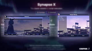How to make a Synapse X Theme
