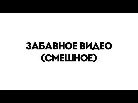 Забавное Видео (смешное)