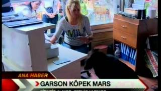 Trt 1 Tgrt Haber Yaşar Kaplan 02 06 12