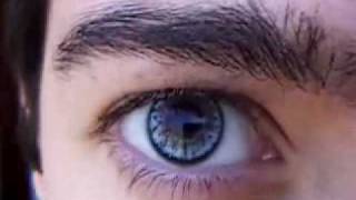 New Elegance Light Blue Color Contact Lens