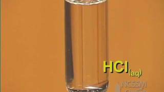 Single Displacement Mg and HCl