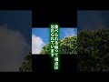 里山から栗の木が消えた背景。「山の畑」の放棄、拡大造林、そして“食べられる森”が忘れられた時代。栗をどう扱うかは、これからの森の価値観そのもの。