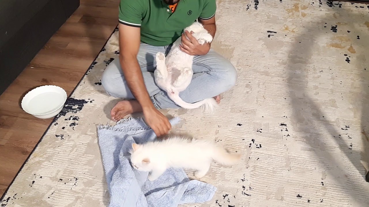 شاهد😉⏪ فك تكتل الصدر😻واسبابه وعلاجه⤴الحلقه الرائعه👏