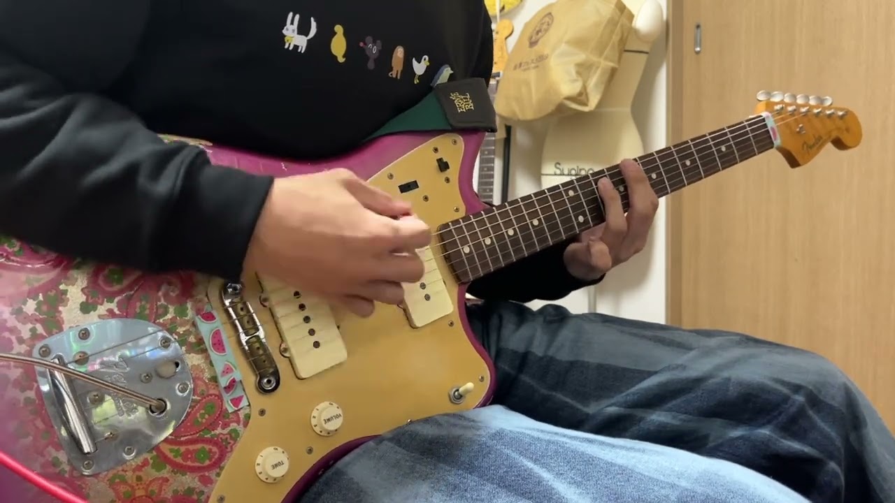 실리카겔 (Silica Gel) "南宮FEFERE" Guitar Cover