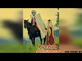 Руслан Ахмадов Х1АР ЭШАР ДАГ ЙОХИ ШУН?😍Вог1ур Ву Со Дагар Дица Терка Йисте😍