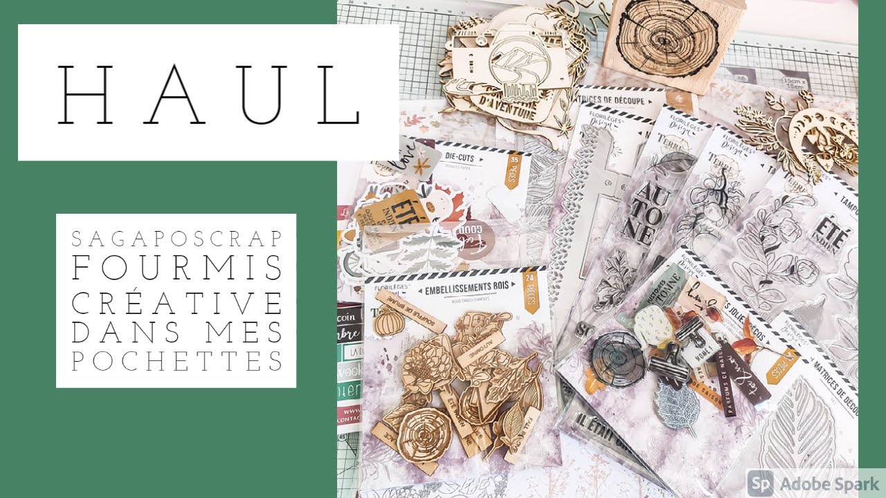 HAUL OCTOBRE 2021 La fourmi créative, dans mes pochettes et sagaposcrap