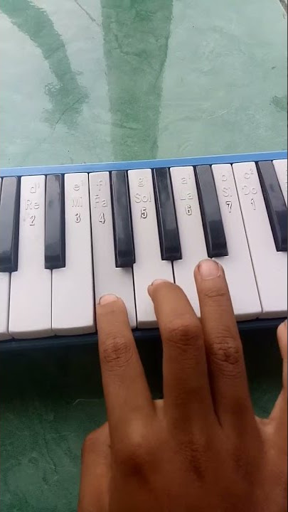 not pianika kucing garong