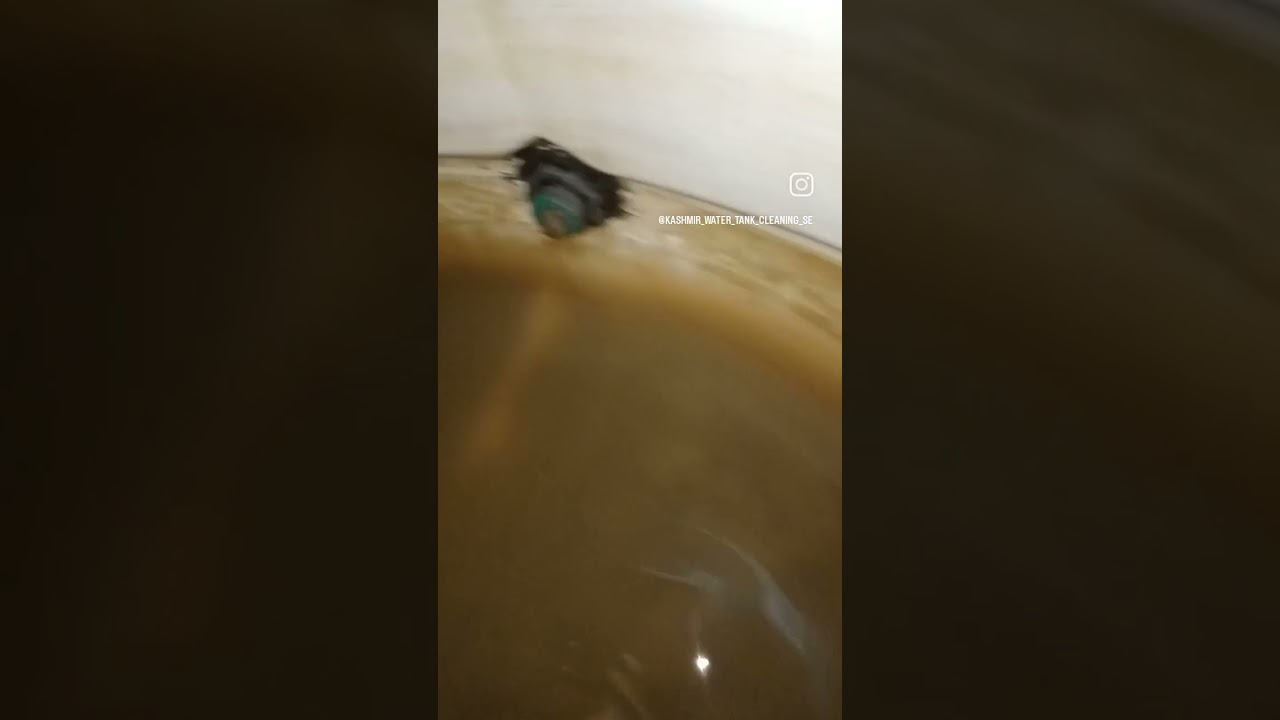 clean your water tank with professional trained staff 