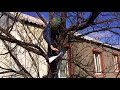 Download Развлечения в свободное время Развлечения в свободное время