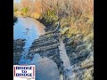 Bridge to Bridge 60km streams update | CJM'S Events