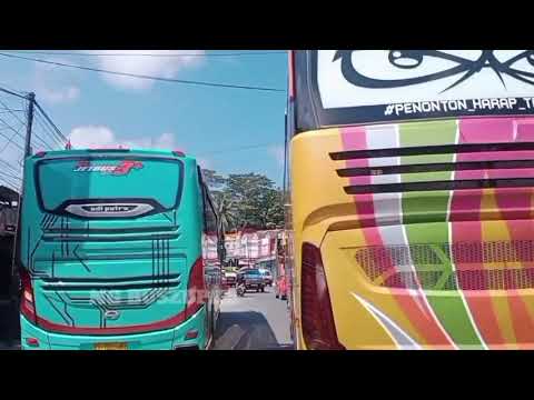 moment bus samarinda lestari vs arafat jaya dragon