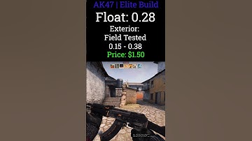 Rating CSGO Skins - AK-47 Elite Build #shorts