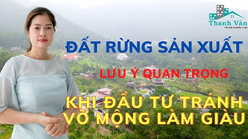 Đất rừng sản xuất: Những lưu ý cẩn trọng khi đầu tư để tránh "vỡ mộng làm giàu" I THANH VÂN BĐS