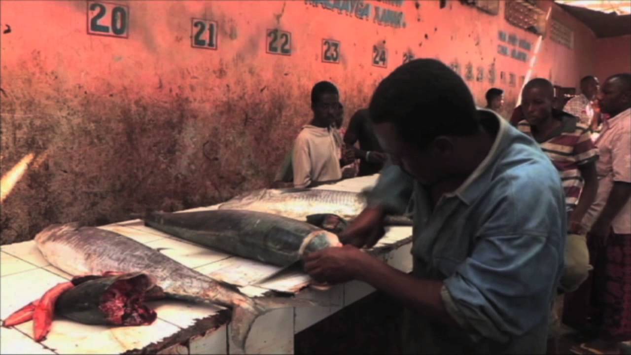 Somalia: Reviving the Fishing Industry - YouTube