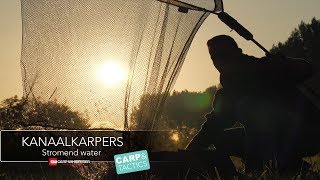 Kanaalvissen op karper tips en tricks!