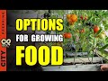 7 Popular Methods to Grow Gardens in Small Spaces and Apartments (pt 4)