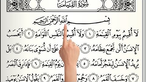 سورة القيامة كيف تحفظ القرآن الكريم بسهولة ويسر 🥺