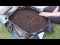 Planting Potatoes Determinate and Indeterminate in Grow Bags