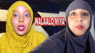 MAHADO IYO SACDIYO MIYEY ISLA DHASHEEN....