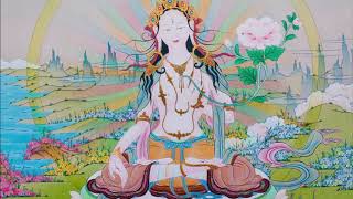 Bạch Tán Cái Phật Đỉnh: Cắt Đứt Mọi Ác Tính – Thanh Âm Thư Giãn