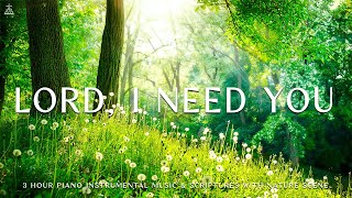 Lord, I Need You: Instrumental Worship, Meditation & Prayer Music with Nature CHRISTIAN piano