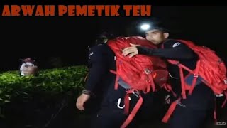 Misteri Arwah Pemetik Teh|Ekpedisi Merah|Eps 51