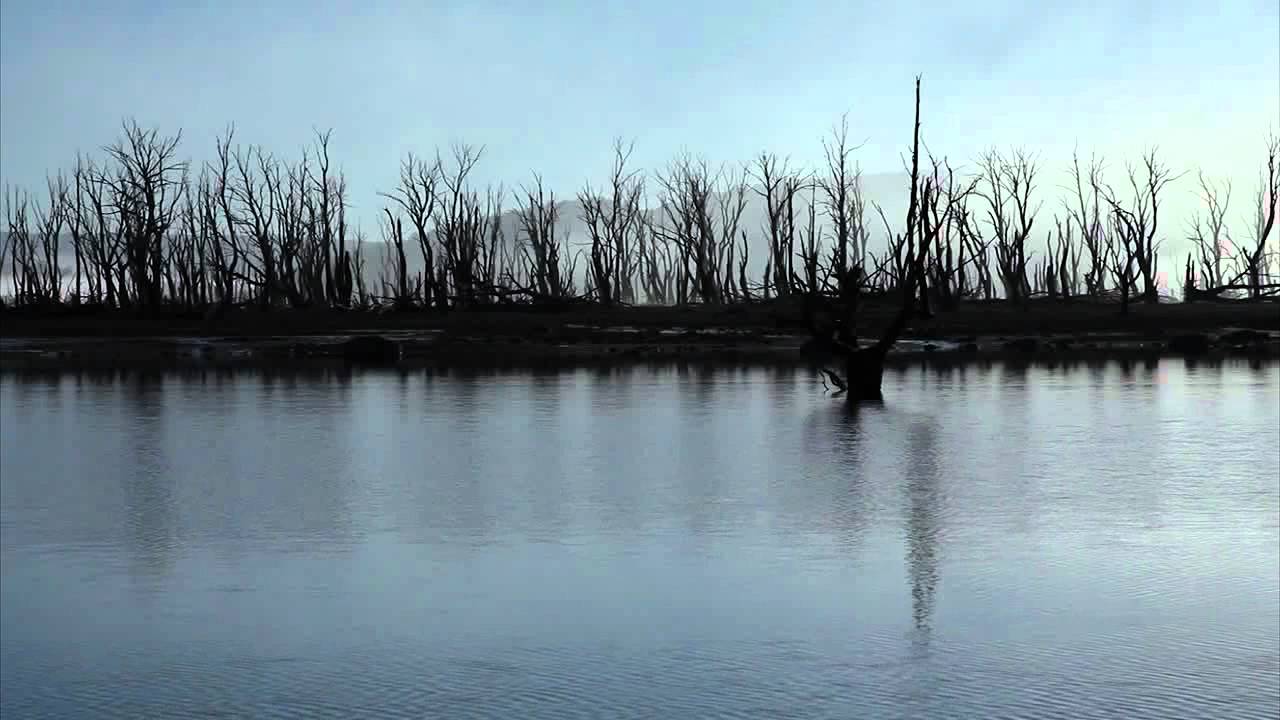 'Mist Opportunities' courtesy Martin Walch-FINAL.mov