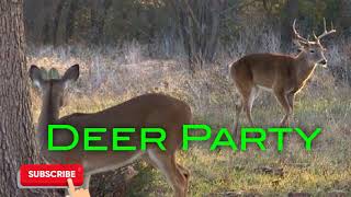 Deer Hunting Call - Doe Estrous Bleat -  Buck Tending Grunt - Free Download screenshot 5