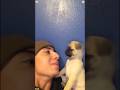 Is Your Pug Also Like This?#dog #pug #foryou #funny #funnydog