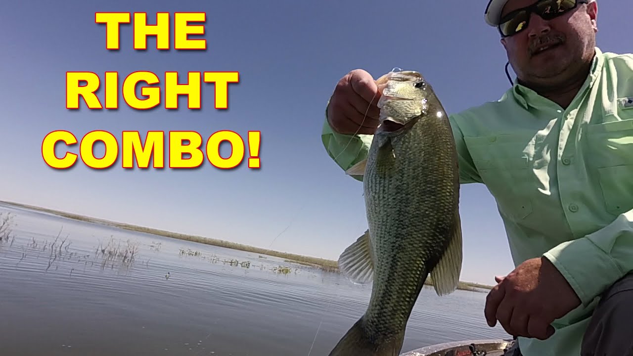 How To Choose A Combo: Dropshot (Rod, Reel, Line, Hook, & Weight), Video