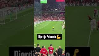 Djordje Petrovic With A Penalty Save Vs Albania