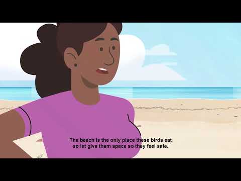 Share the Shore: A Place for People and Birds