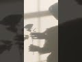 قالوناس زمان حفر بير بإبرة ومتطلبش الفاس من الرخيص  حكم