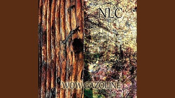 The place where the branches dip into the river