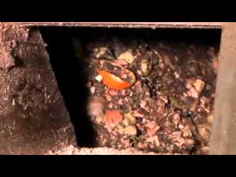 Video: Compost - Fábrica De Fertilidad