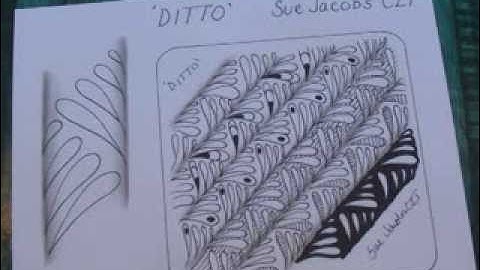Ditto tangle pattern,  Sue Jacobs CZT