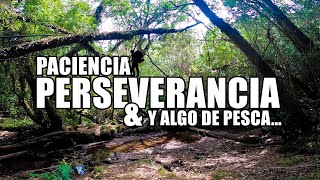 Una jornada complicada - Pesca de truchas en el Sur de Chile / Río Maullín.