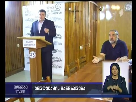 საგარეჯოს მაჟორიტარობის კანდიდატი წულუკიანს აღსრულების ბიუროსთან შუამდგომლობას სთხოვს