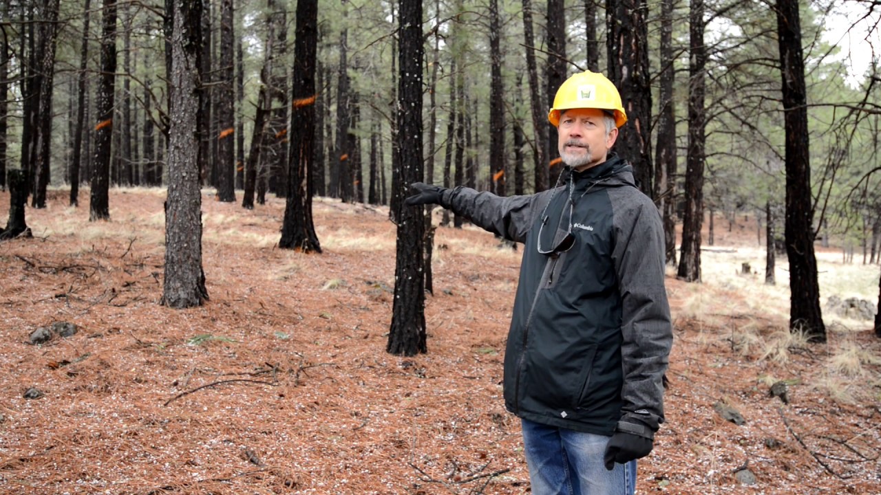 Four Forest Restoration Initiative 4FRI Part II YouTube four-forest-restoration-initiative-4fri-part-ii-youtube