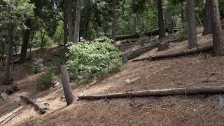 0 Horst Dr. Crestline CA 92325