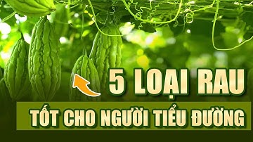 5 loại rau tốt cho người tiểu đường - Ăn Gì Để Kiểm Soát Đường Huyết?