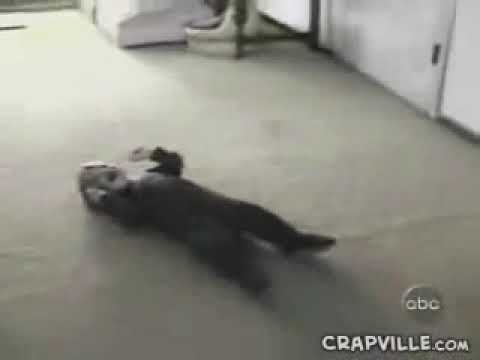 LIAR CHILD   FUNNY პატარა მატყუარა