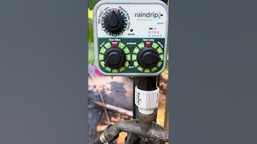 Take a look at the Raindrip watering timer to use with drip irrigation for tomato plants.