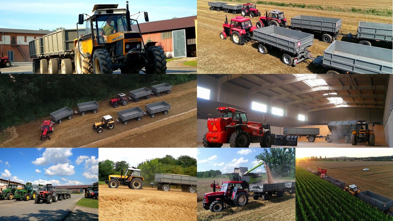 5x URSUS vs PSZENICA | 3x LEXION | Wielkie żniwa 2024 | Zalesie Śląskie