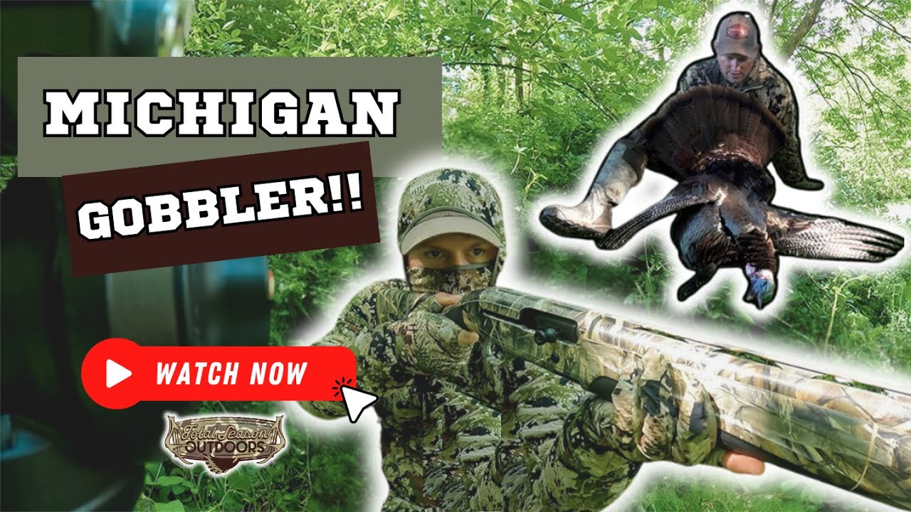 Hen Turkey Brings TOM RIGHT TO ME! | Turkey Hunting Michigan