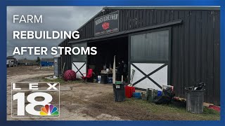 Around $500k in damage, horses injured after storm at Ky. farm
